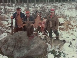 Gamla bilder