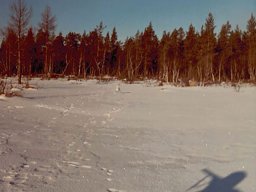 Gamla bilder