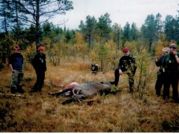 Gamla bilder